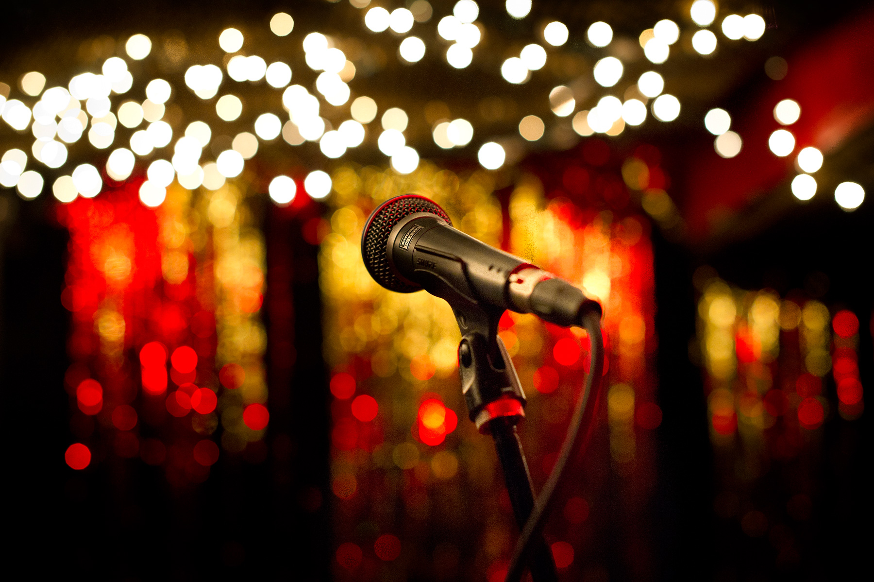 JoshuaBright_NewYorkTimes_CakeShop_Microphone