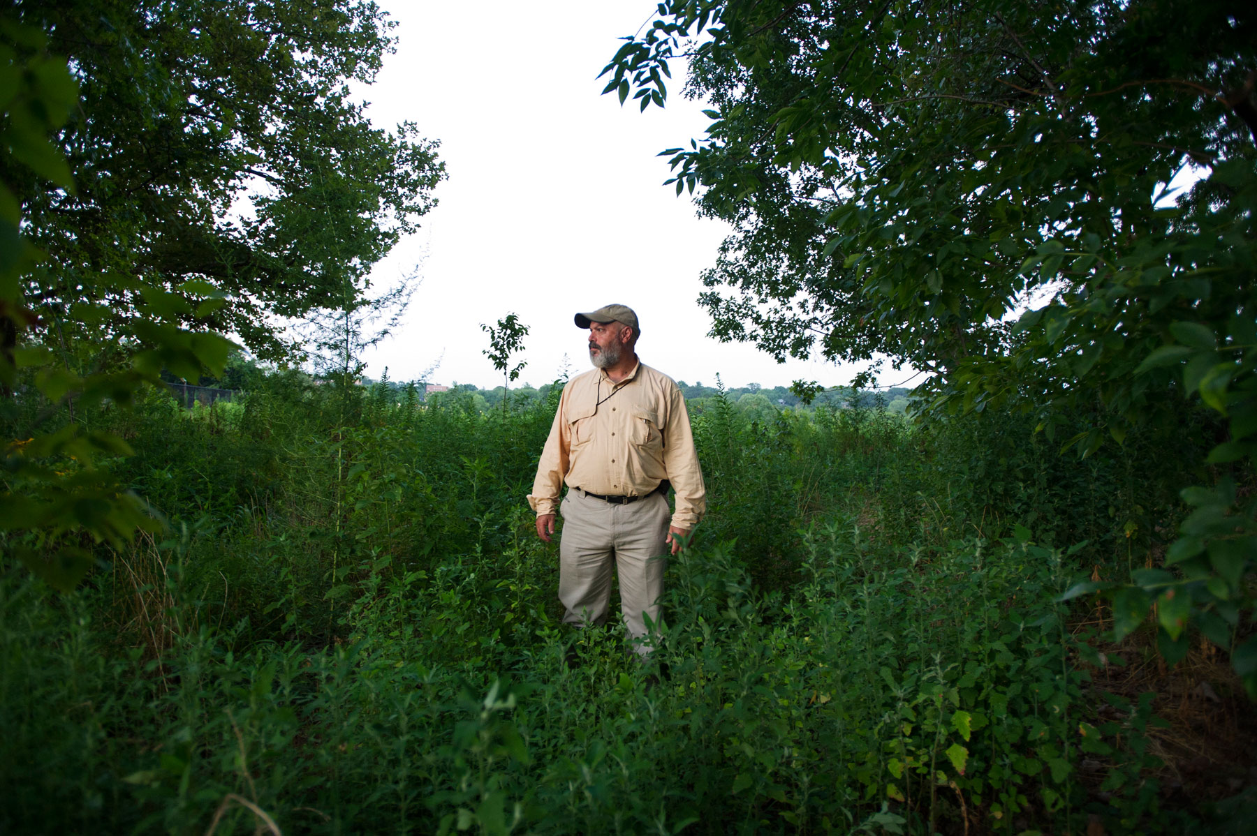 JoshuaBright_NewYorkTimes_NightHike_Insects