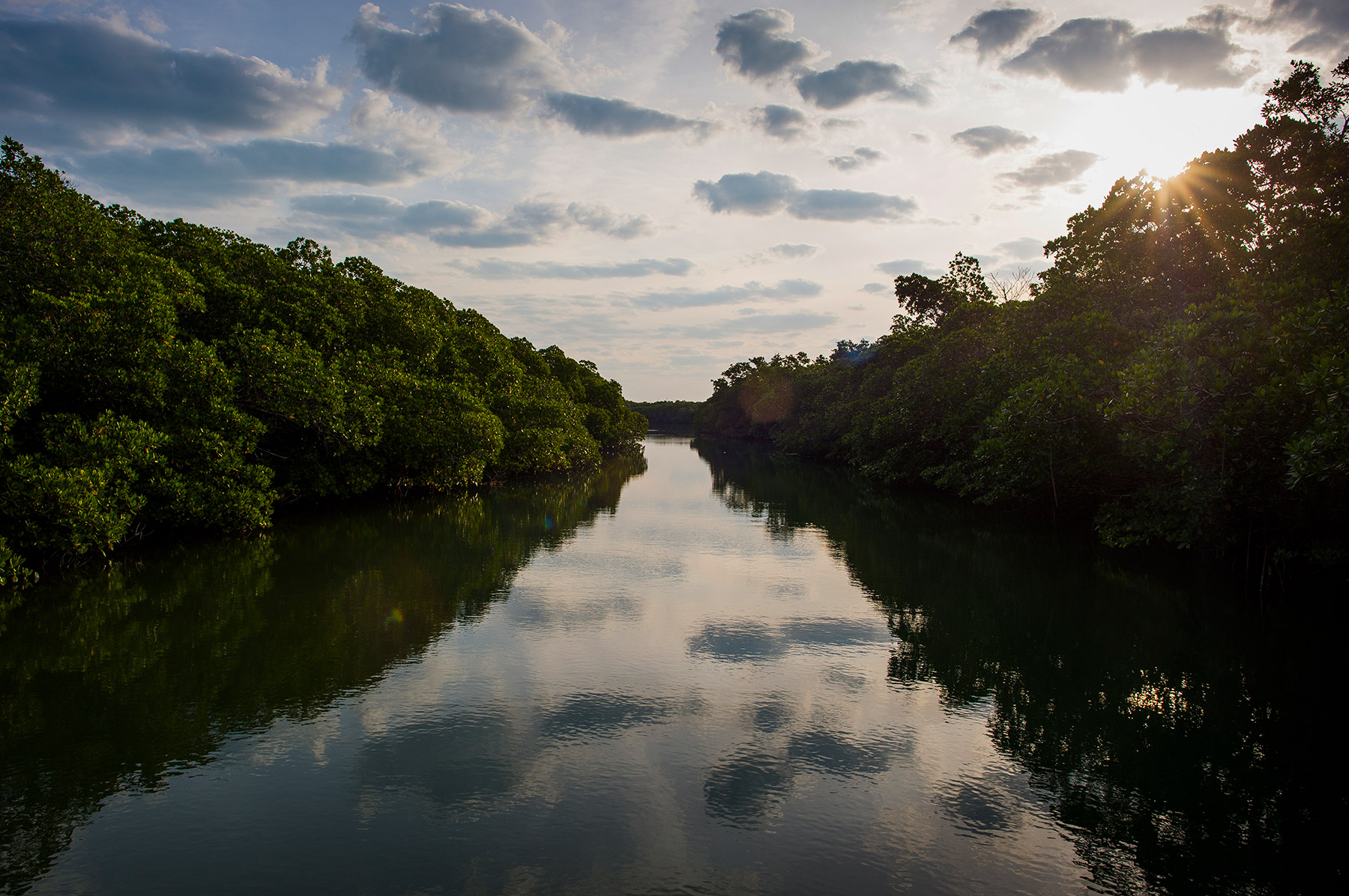 20160318_NYT_KeyLargo_Day1_0090_1