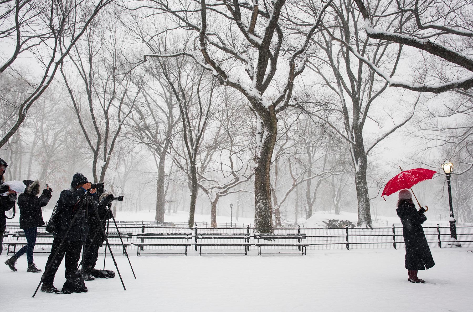 Snow-snappers